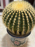 Cactus en pot 35 cm vert avec pot en céramique décoratif pour intérieur
